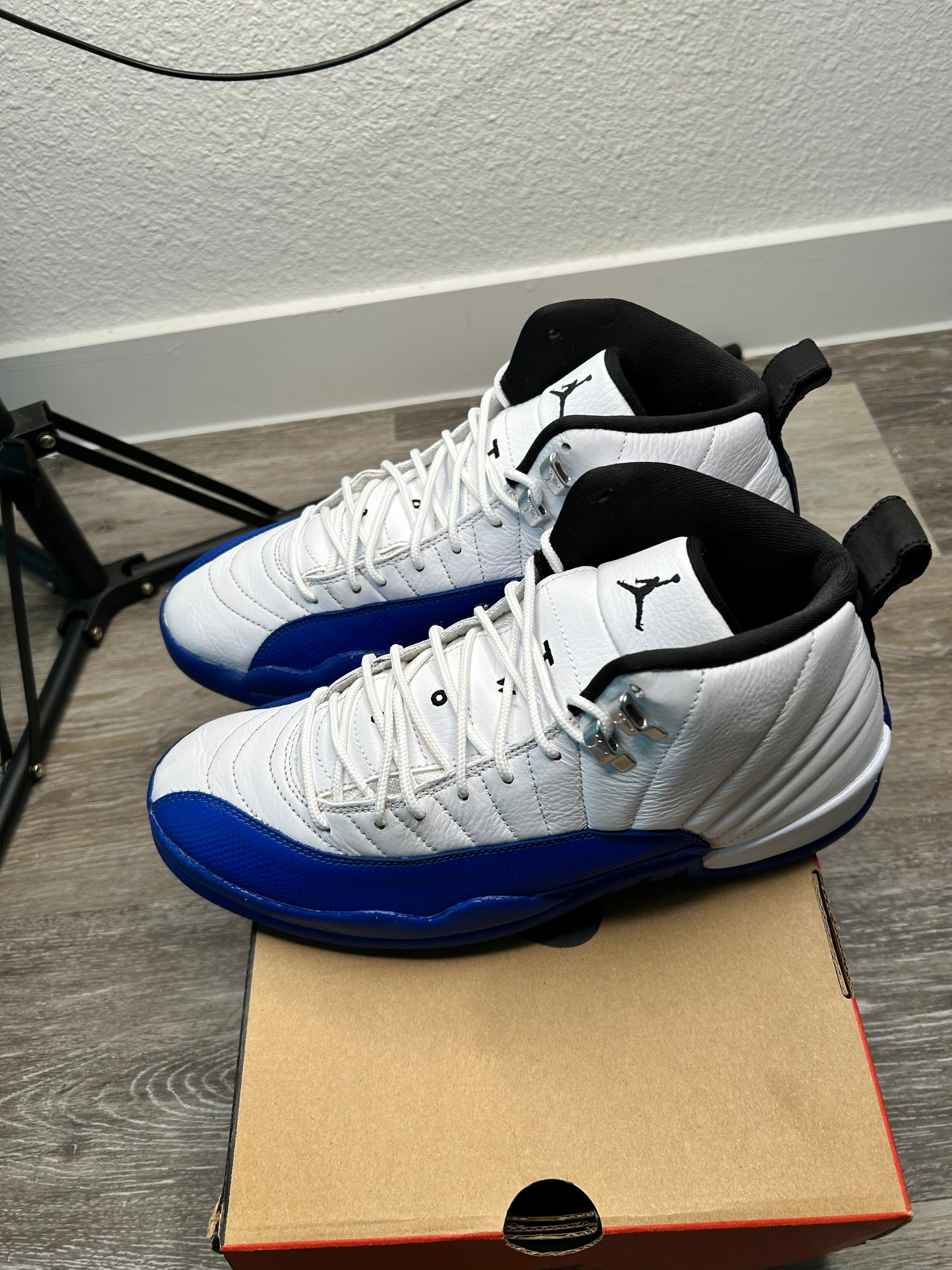 Jordan 12 (2024)