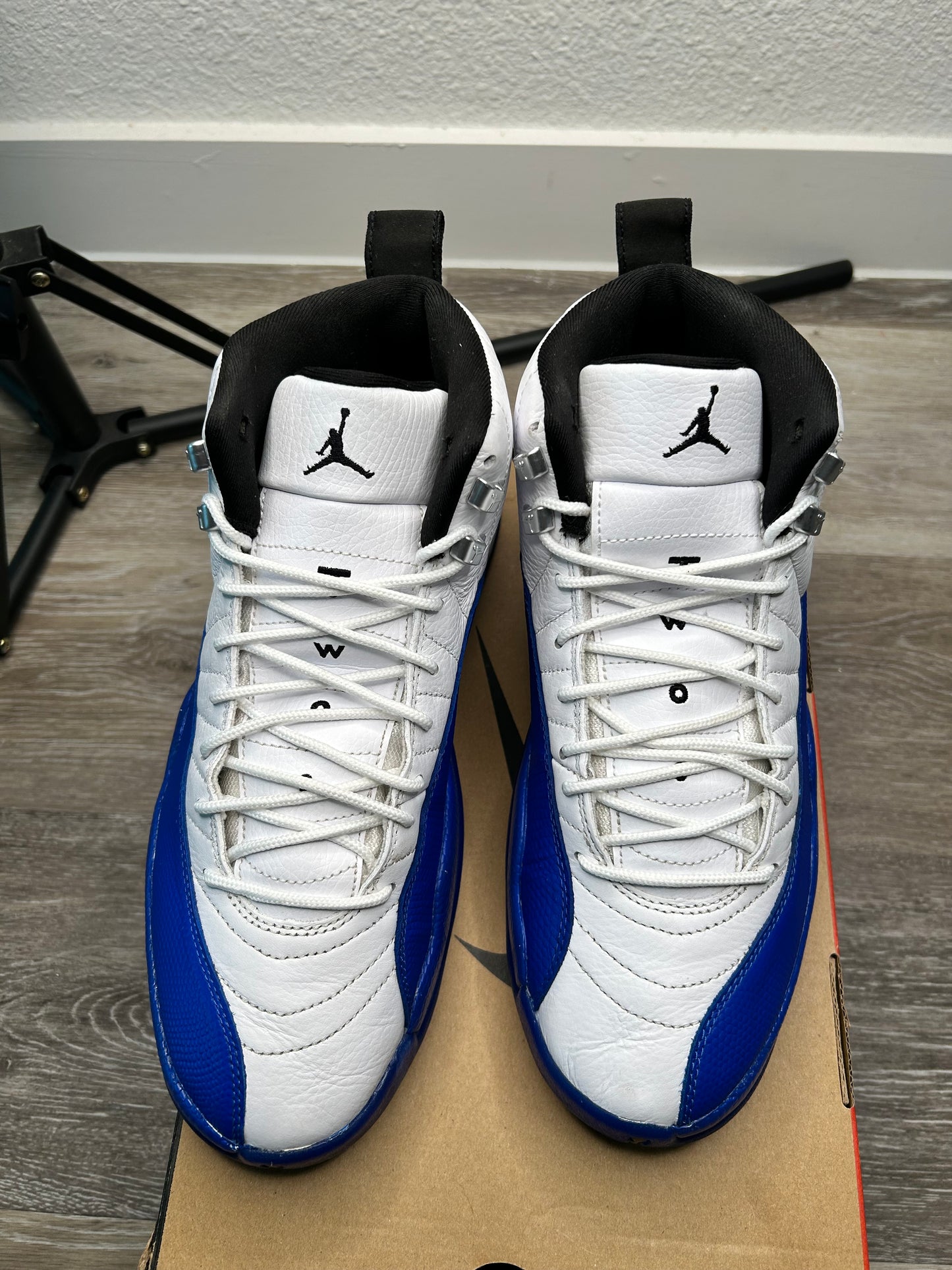 Jordan 12 (2024)