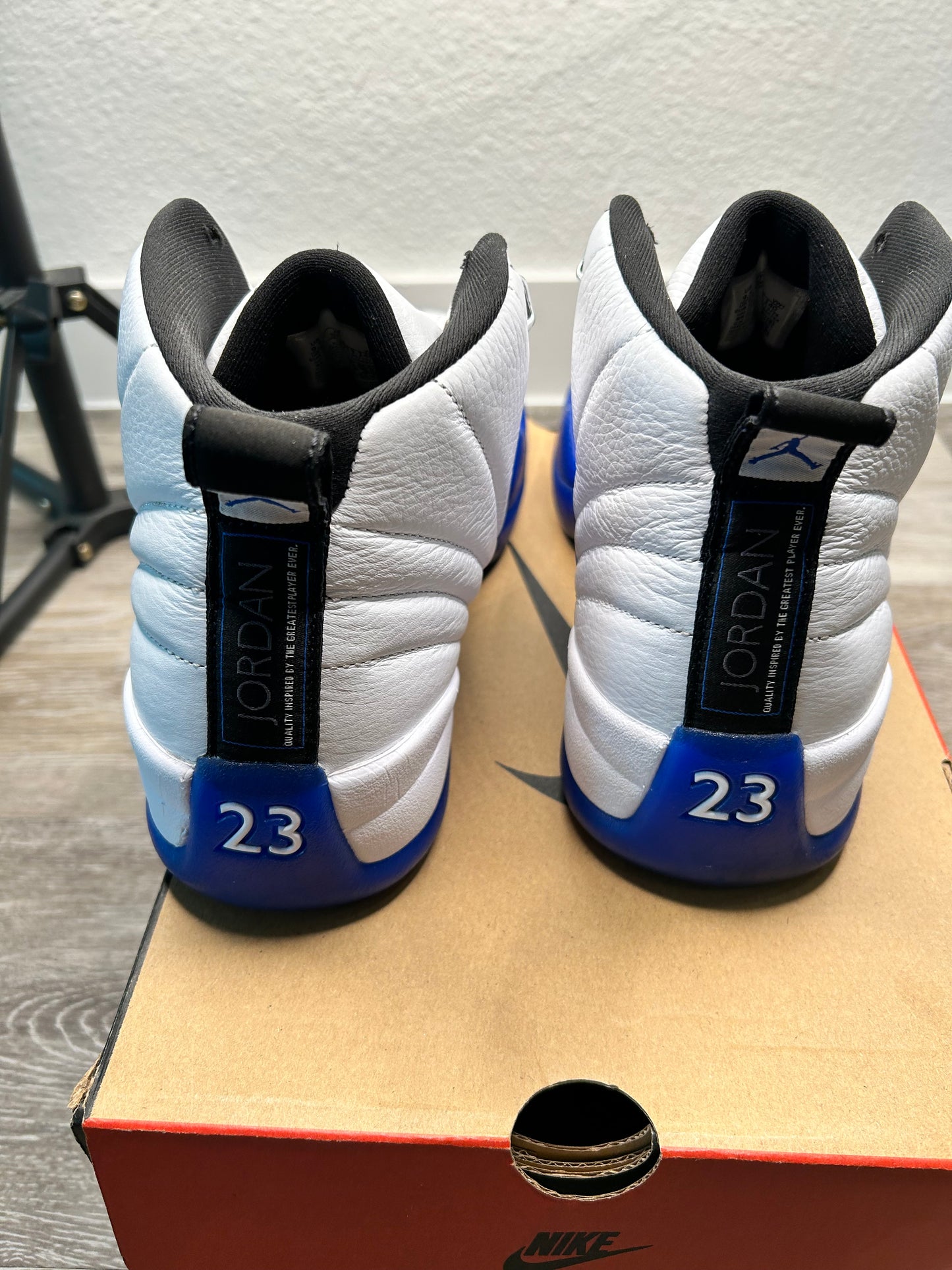 Jordan 12 (2024)