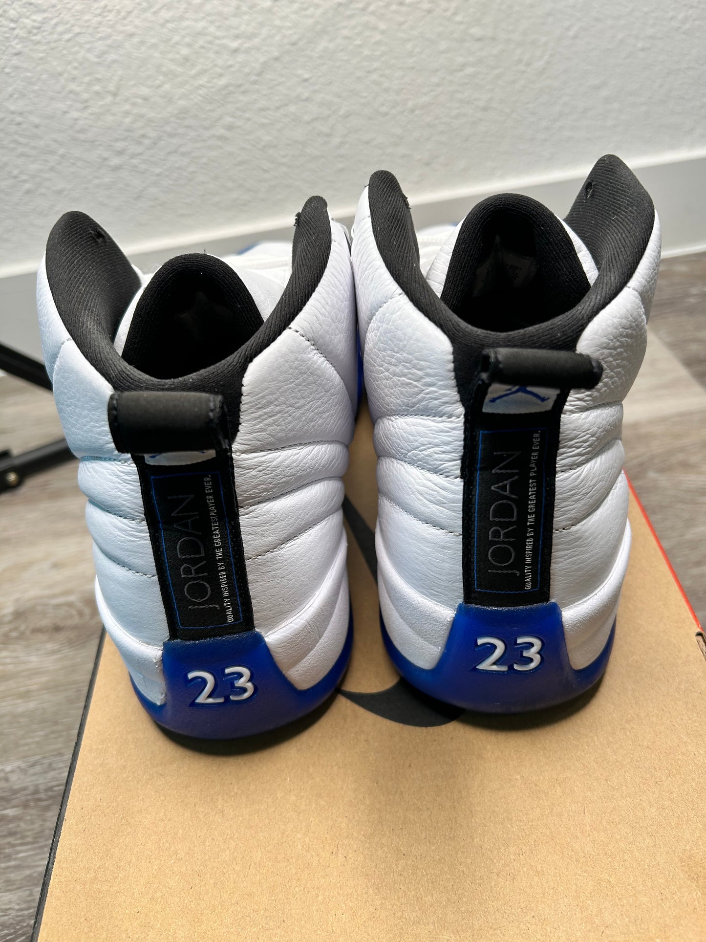 Jordan 12 (2024)