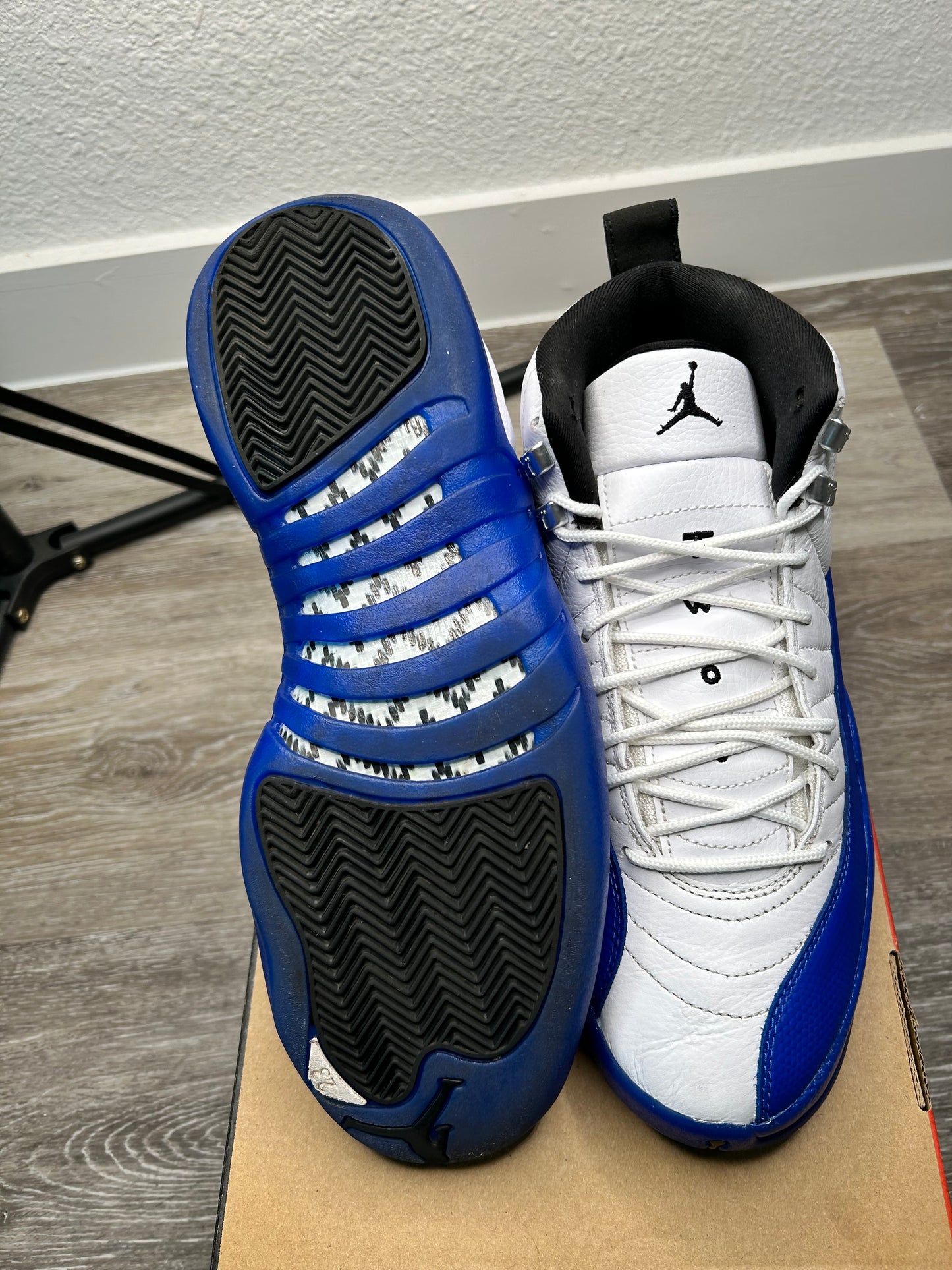 Jordan 12 (2024)